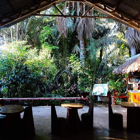 Villa Hermosa De Tambopata Casa Hospedaje & Hostel Puerto Maldonado Kültér fotó