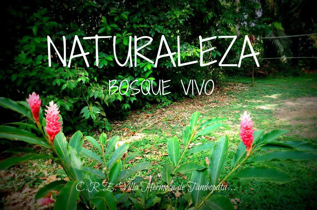 Villa Hermosa De Tambopata Casa Hospedaje & Hostel Puerto Maldonado Kültér fotó