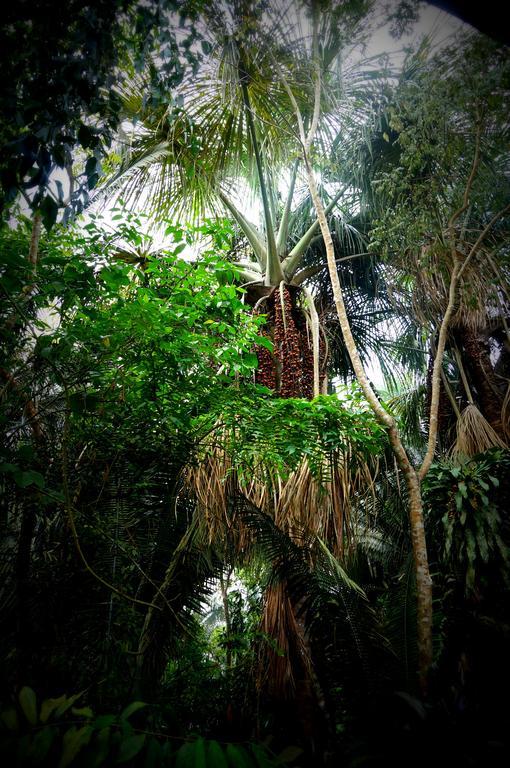 Villa Hermosa De Tambopata Casa Hospedaje & Hostel Puerto Maldonado Kültér fotó