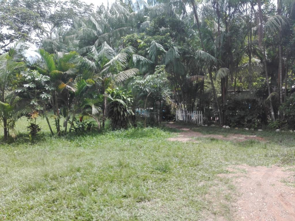 Villa Hermosa De Tambopata Casa Hospedaje & Hostel Puerto Maldonado Kültér fotó