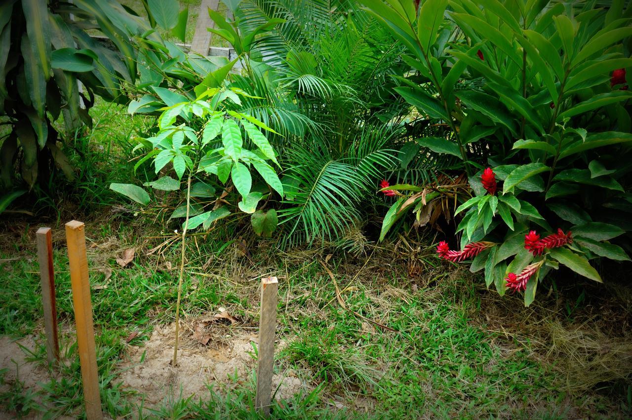 Villa Hermosa De Tambopata Casa Hospedaje & Hostel Puerto Maldonado Kültér fotó