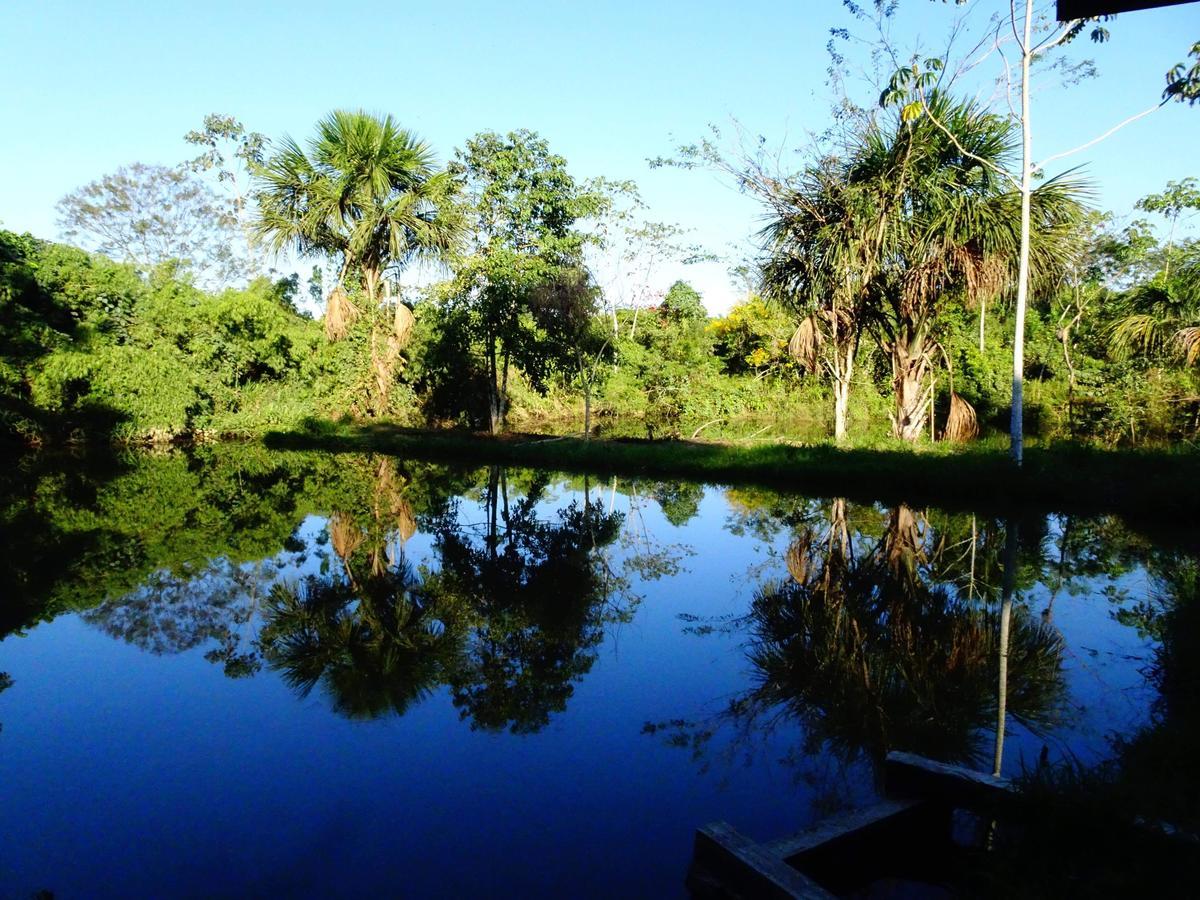 Villa Hermosa De Tambopata Casa Hospedaje & Hostel Puerto Maldonado Kültér fotó