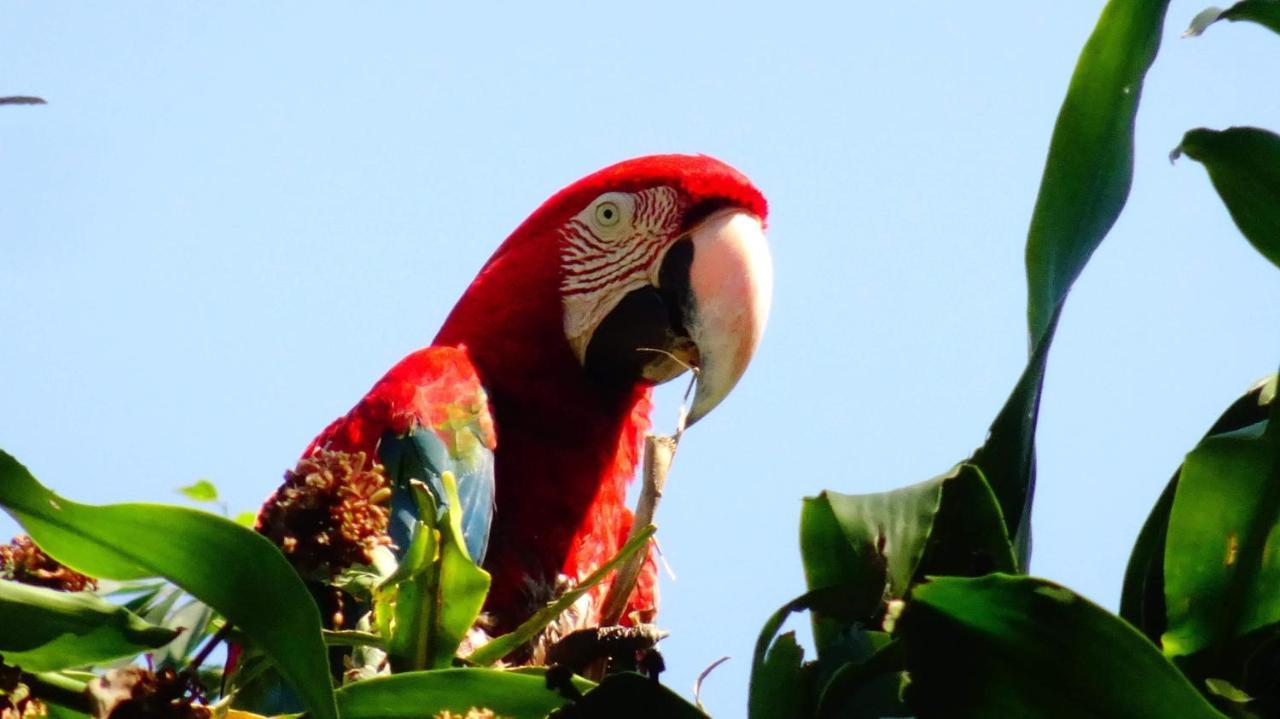Villa Hermosa De Tambopata Casa Hospedaje & Hostel Puerto Maldonado Kültér fotó
